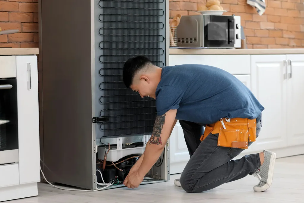 Fridge Fixer